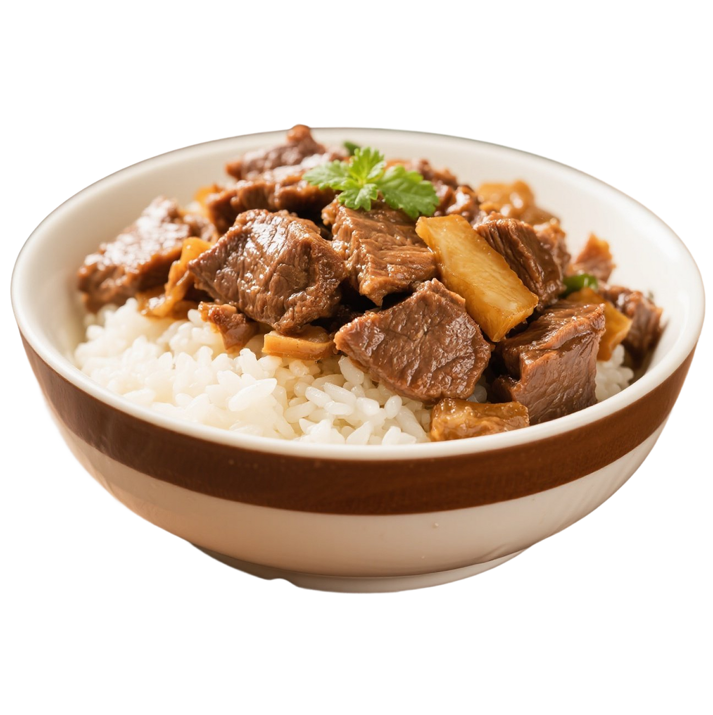 五香牛雜飯